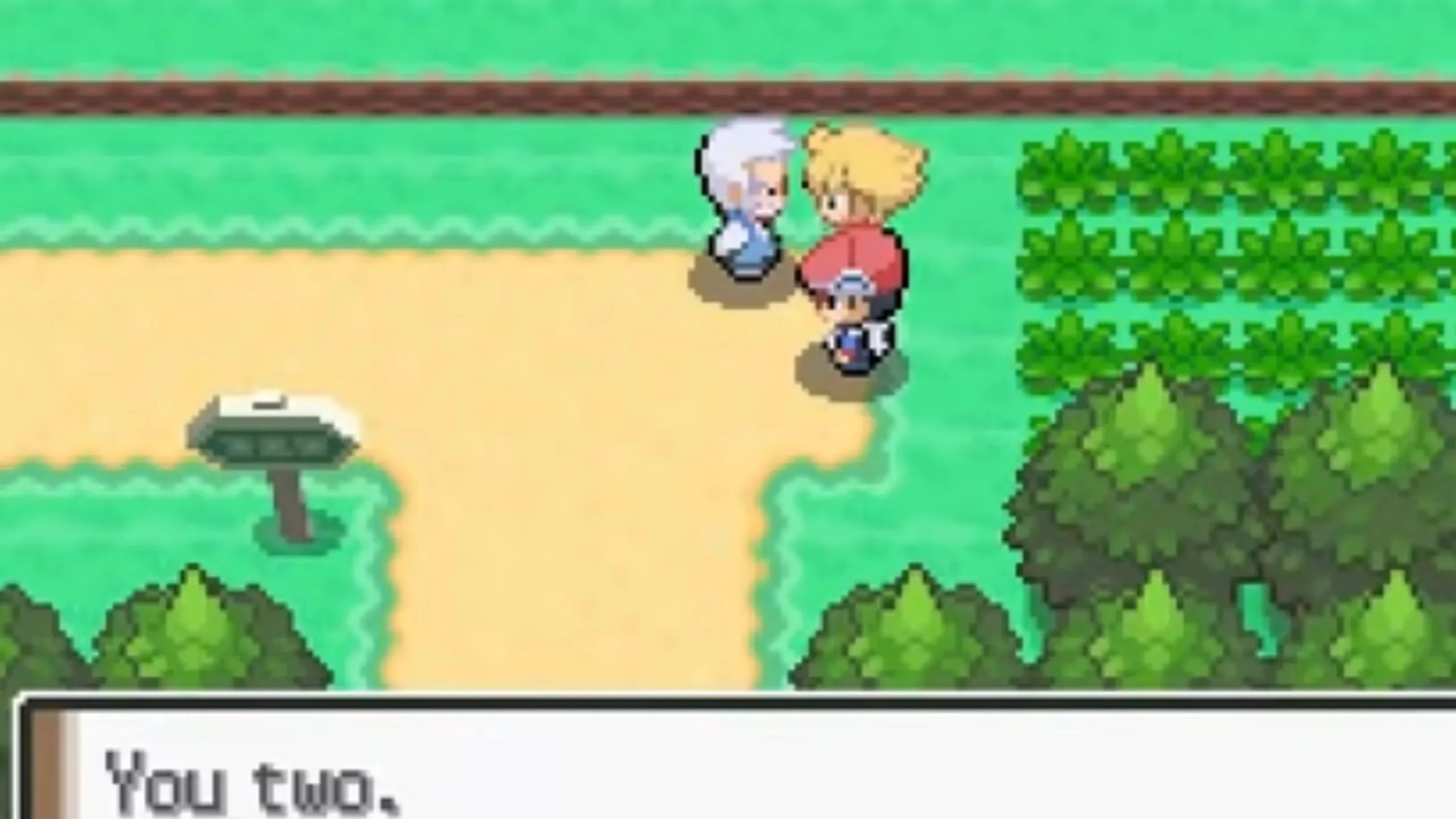 8 Best Pokémon ROM Hacks With Extensive Post-Game Content