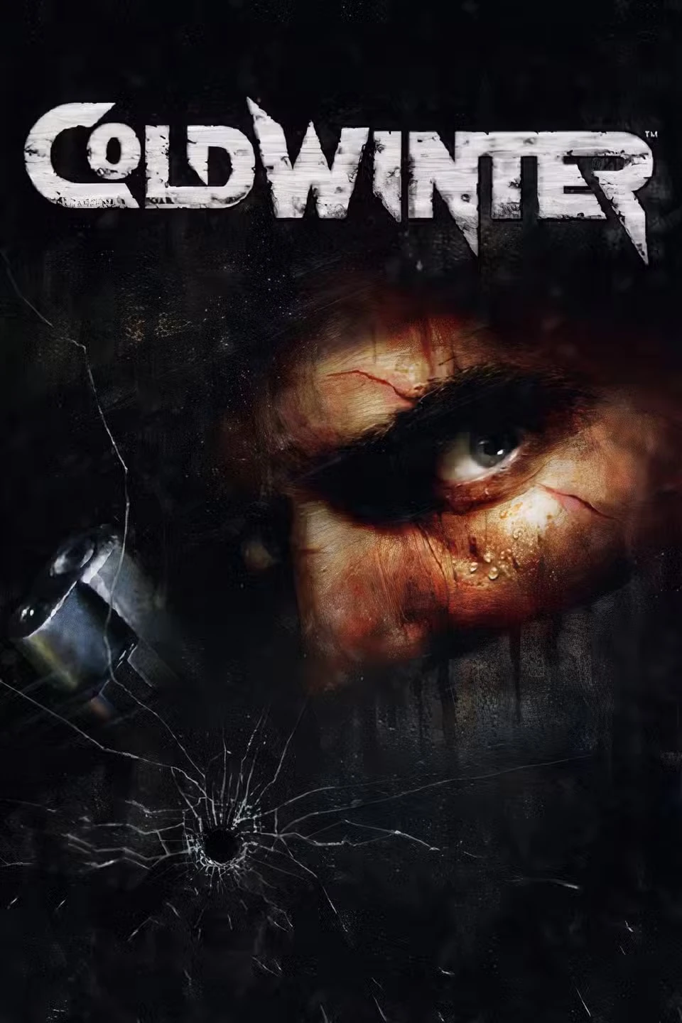 Forgotten PS2 FPS Games